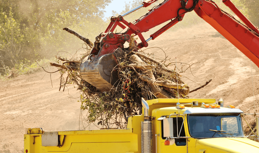 Tree Debris Removal